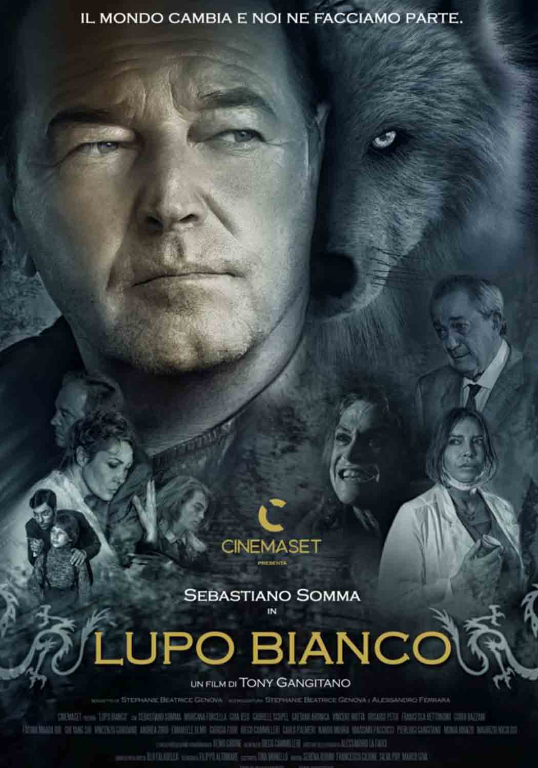 LUPO BIANCO